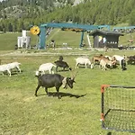 Bar Del *